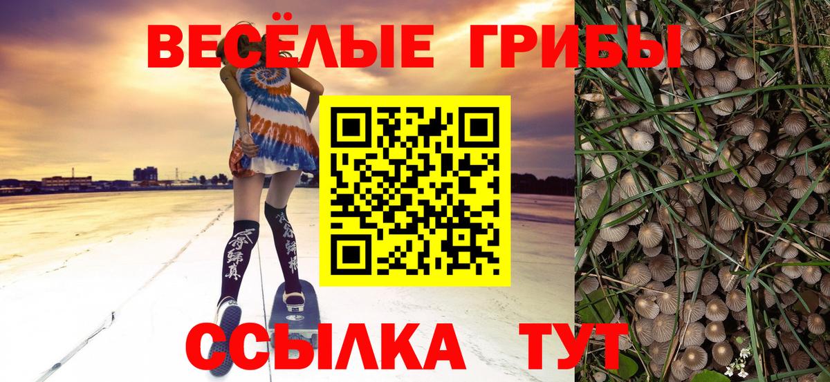Серов  Галлюциногенные грибы ЛСД  Псилоцибиновые грибы ЛСД  Вход с VPN 