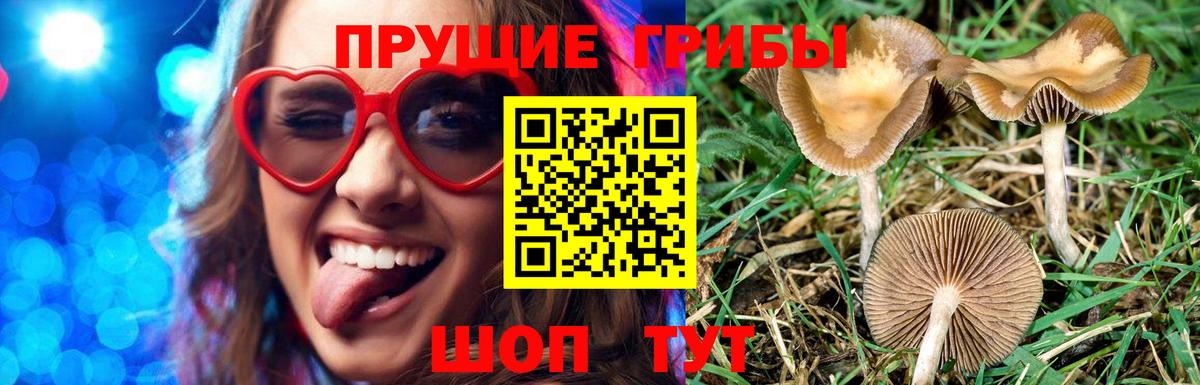 Галлюциногенные грибы GOLDEN TEACHER Серов